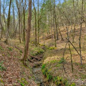 Photo #31 of Green, Lancaster, SC