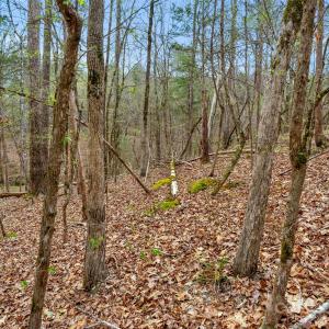 Photo #38 of Green, Lancaster, SC