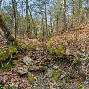 Photo #32 of Green, Lancaster, SC