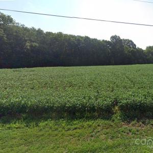 Photo #3 of Duncan, Indian Trail, NC