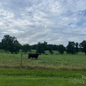 Photo #3 of Thanny Helms, Peachland, NC