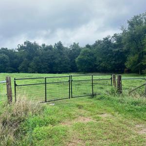 Photo #1 of Thanny Helms, Peachland, NC