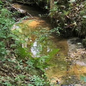 Photo #12 of Tart, Clover, SC