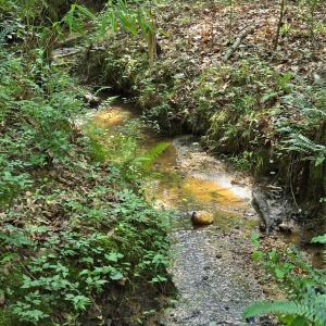 Photo #13 of Tart, York, SC