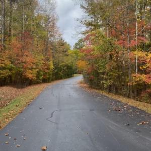 Photo #7 of Lot 10 Duck Creek Farms Duck Creek, Indian Trail, NC