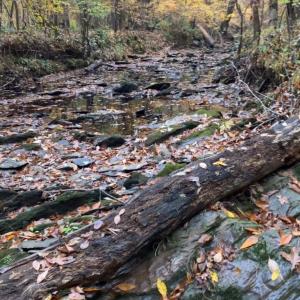Photo #9 of Lot 10 Duck Creek Farms Duck Creek, Indian Trail, NC