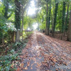 Photo #1 of 3007 Point Clear, Tega Cay, SC