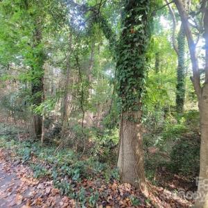 Photo #3 of 3007 Point Clear, Tega Cay, SC