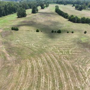 Photo #11 of 5027 Mobley Store, McConnells, SC