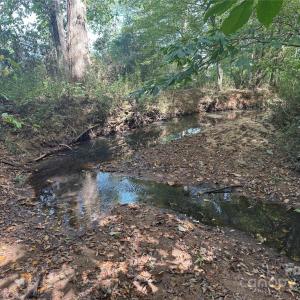 Photo #31 of 5027 Mobley Store, McConnells, SC