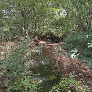 Photo #32 of 5027 Mobley Store, McConnells, SC