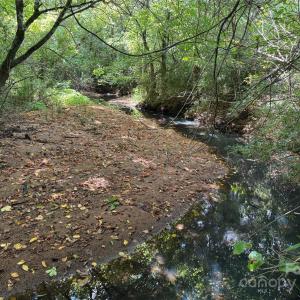 Photo #29 of 5027 Mobley Store, McConnells, SC