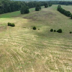 Photo #21 of 5027 Mobley Store, McConnells, SC