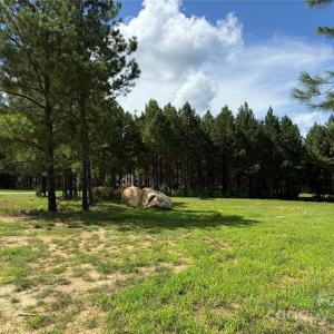 Photo #2 of 9304 Richardson King, Waxhaw, NC