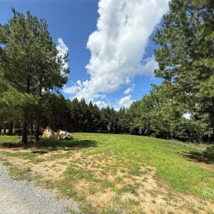 Photo #10 of 9304 Richardson King, Waxhaw, NC