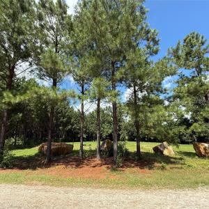 Photo #9 of 9304 Richardson King, Waxhaw, NC