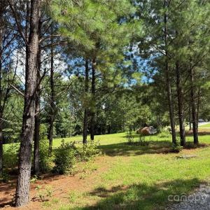 Photo #8 of 9304 Richardson King, Waxhaw, NC