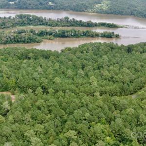 Photo #11 of Lot #60 Lakeside, Lilesville, NC