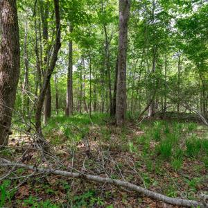 Photo #20 of Green, Lancaster, SC