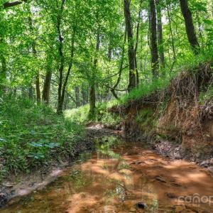 Photo #3 of Green, Lancaster, SC