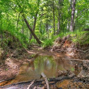 Photo #8 of Green, Lancaster, SC