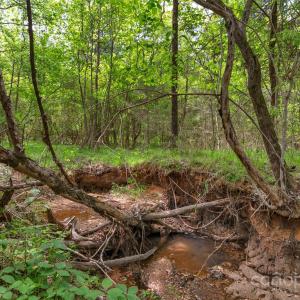 Photo #23 of Green, Lancaster, SC