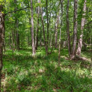 Photo #16 of Green, Lancaster, SC