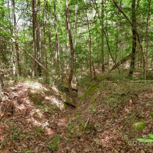 Photo #31 of Green, Lancaster, SC