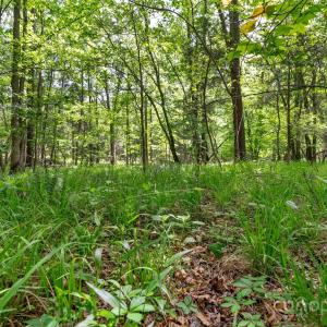 Photo #19 of Green, Lancaster, SC