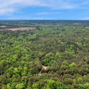 Photo #39 of Green, Lancaster, SC