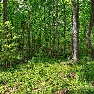 Photo #5 of Green, Lancaster, SC