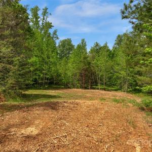 Photo #17 of Green, Lancaster, SC