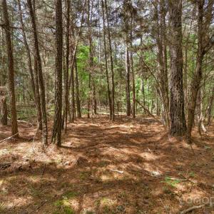 Photo #30 of Green, Lancaster, SC