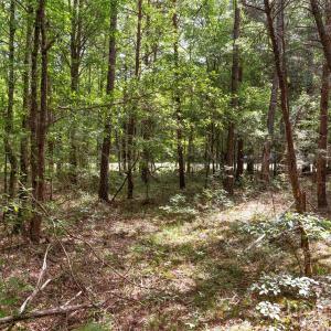 Photo #36 of Green, Lancaster, SC