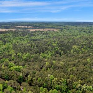 Photo #40 of Green, Lancaster, SC