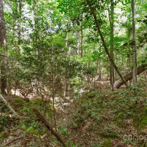 Photo #32 of Green, Lancaster, SC