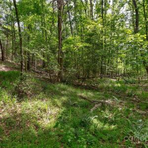 Photo #11 of Green, Lancaster, SC