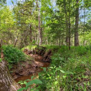 Photo #7 of Green, Lancaster, SC