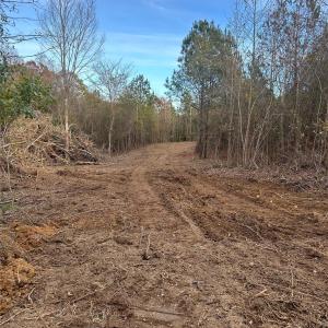 Photo #4 of 1036 Riddle Mill, Clover, SC