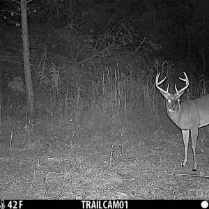 Photo #8 of 1036 Riddle Mill, Clover, SC