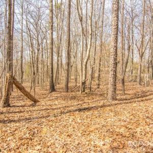 Photo #2 of Jim Wilson, Indian Land, SC