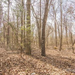 Photo #1 of Jim Wilson, Indian Land, SC