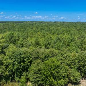 Photo #15 of Daystar, Lancaster, SC