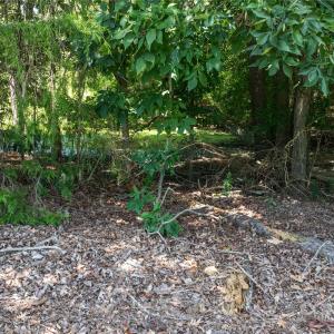 Photo #22 of Daystar, Lancaster, SC