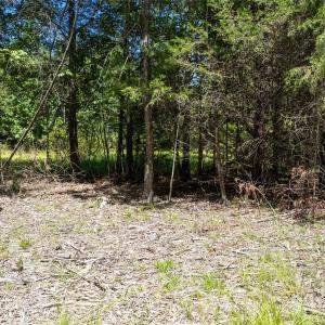 Photo #18 of Daystar, Lancaster, SC