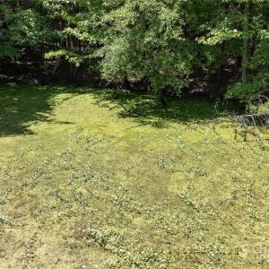 Photo #24 of Daystar, Lancaster, SC