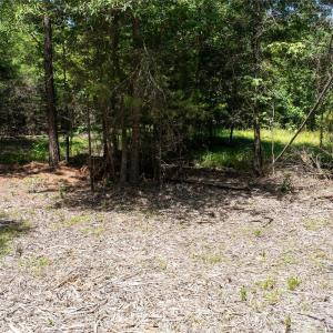 Photo #17 of Daystar, Lancaster, SC