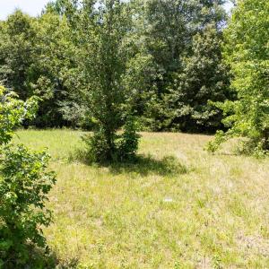 Photo #16 of Daystar, Lancaster, SC