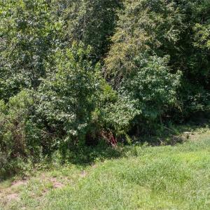 Photo #6 of Daystar, Lancaster, SC