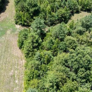 Photo #14 of Daystar, Lancaster, SC